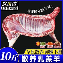 半只羊草原散养羔羊肉10斤冷冻分割选择羊腿羊排羊蝎子烧烤食材