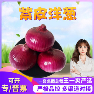 �����x�������Ƥ���[ 3/9�������A�[�����߲˼tƤ�[�^�tƤ���[