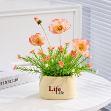 �����˻��ٻ��[�O�͏d�������[���b廨ˇ�[����������