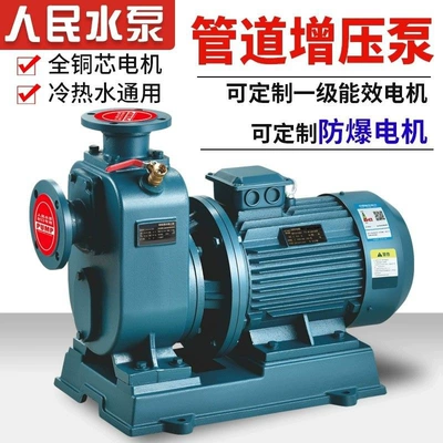 Bz Self-Priming Pump Zw Non-Clogging Water pump