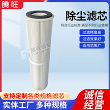 供应工业阻燃PTFE覆膜滤芯 抛丸机用滤筒粉末回收不锈钢除尘滤芯
