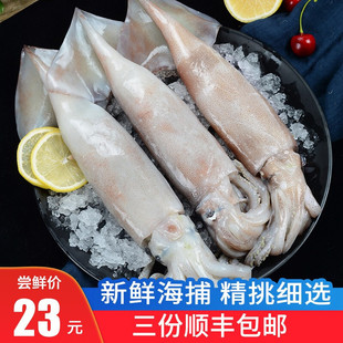 �O����~���u���r���������~400g �r���ك������~���r��؛��ҹ�