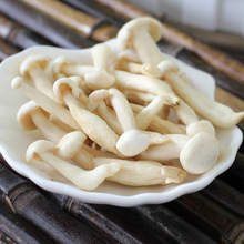 VF�S�� ��ʳ���񹽴�Ģ����ԭζ���񹽹��ߴ����eʳƷ���lOEM�N��