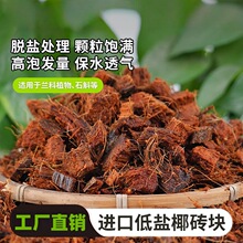 ��Ҭ���u�m���������I�B����KÓ�}Ҭ�u�m��ʯ���mͨ��Ҭ����Ҭ�u