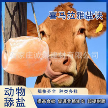 喜马拉雅盐砖大块粉盐毛石打孔盐块动物巴基斯坦盐块矿物质盐块