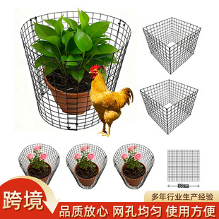 ī�Gɫֲ�ﱣ�o�W��Ƭ���ٽz�W���@ֲ��\�羳���xDIY�F�z�W��Ƭ