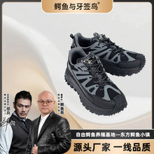 �{�~���e���m��Ƥ�r�����eЬEZ25090201A