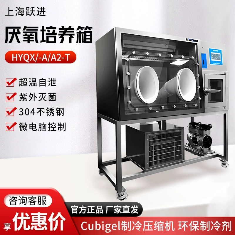 Анаэробный перчаточный ящик для анаэробных анаэробных анаэробных клеток для культивирования клеток серии Shanghai Yuejin HYQX