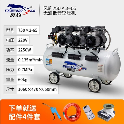 Fengbao Air Compressor Shanghai Hava kompressorları - oil-free-750x3-65l-2250w