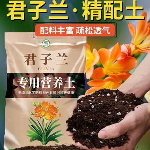 Pine bark decomposed Dendrobium cultivation substrate junzilan orchid universal nutrient soil orchid special soil