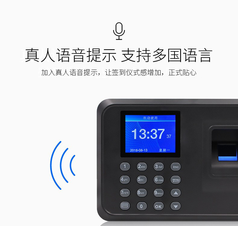 O1CN01RlfYC71GvJm2CJGVb_!!3875