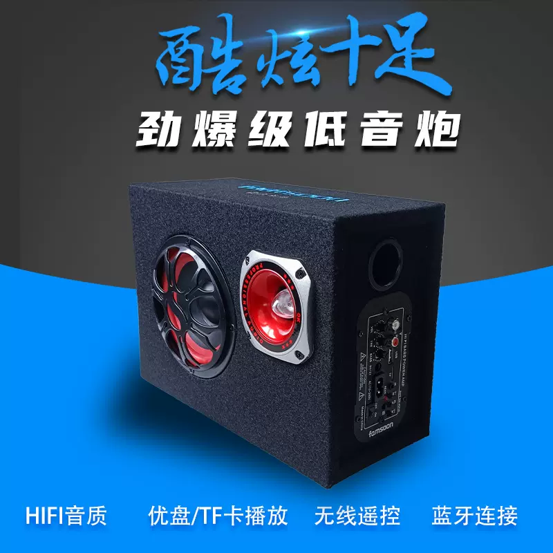 TDR无线蓝牙220V家用音箱超重低音车载低音炮12V汽车24V隧道音响