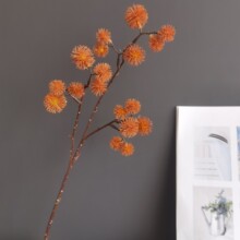 ����ë��������|�����ë�����W�ҾӘӰ��g��c�廨�OӋ��ļٻ�