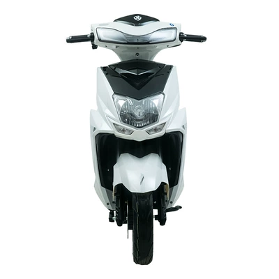 Wholesale of Large Quantities, Elektrikli motosikletlər