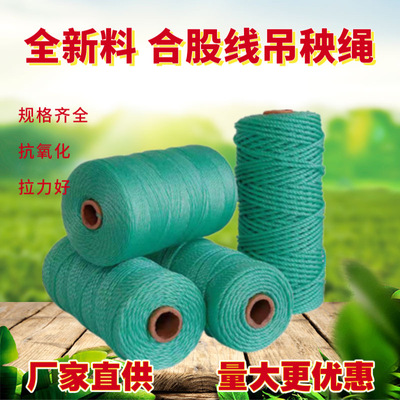 全新料大棚吊秧绳蔬菜黄瓜番茄绑蔓绳爬藤拉线晾衣封车绳厂家批发