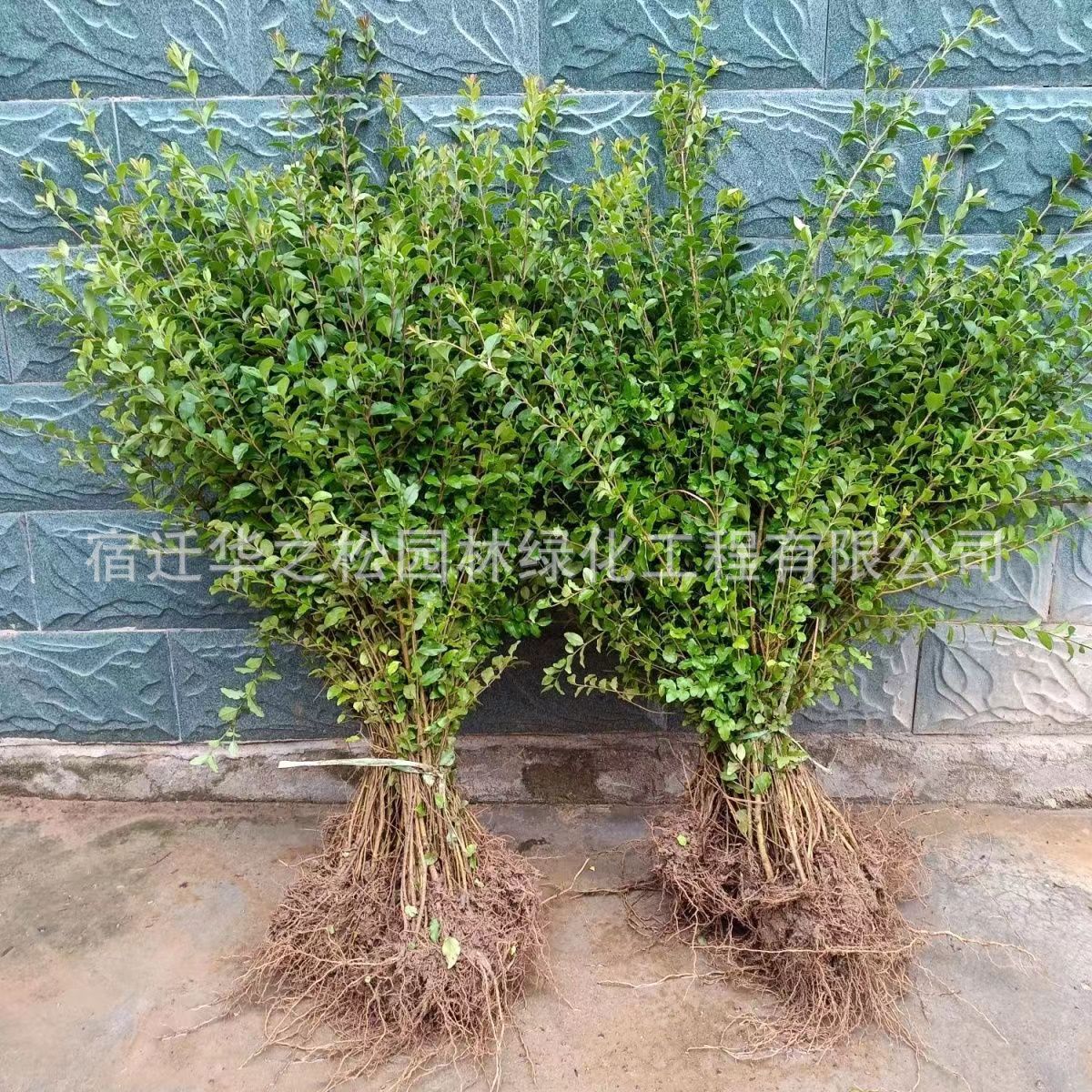 3af6ee8581d8060bd1e23d1da65e34