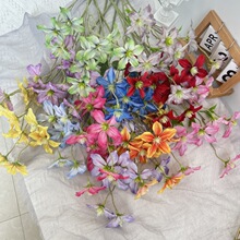 9�^�F��ɏ �¿���滨��c�b��ĶY�ò����b��ϻ�c���߻�ˇ