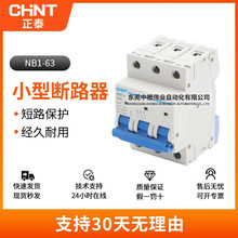 正品现货正泰小型断路器NB1-63直流家用微型漏电保护空气开关