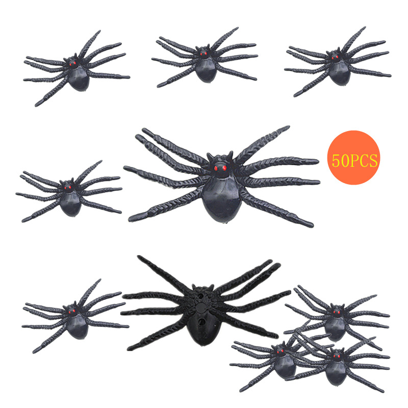 Red-Eyed Spider Image 1