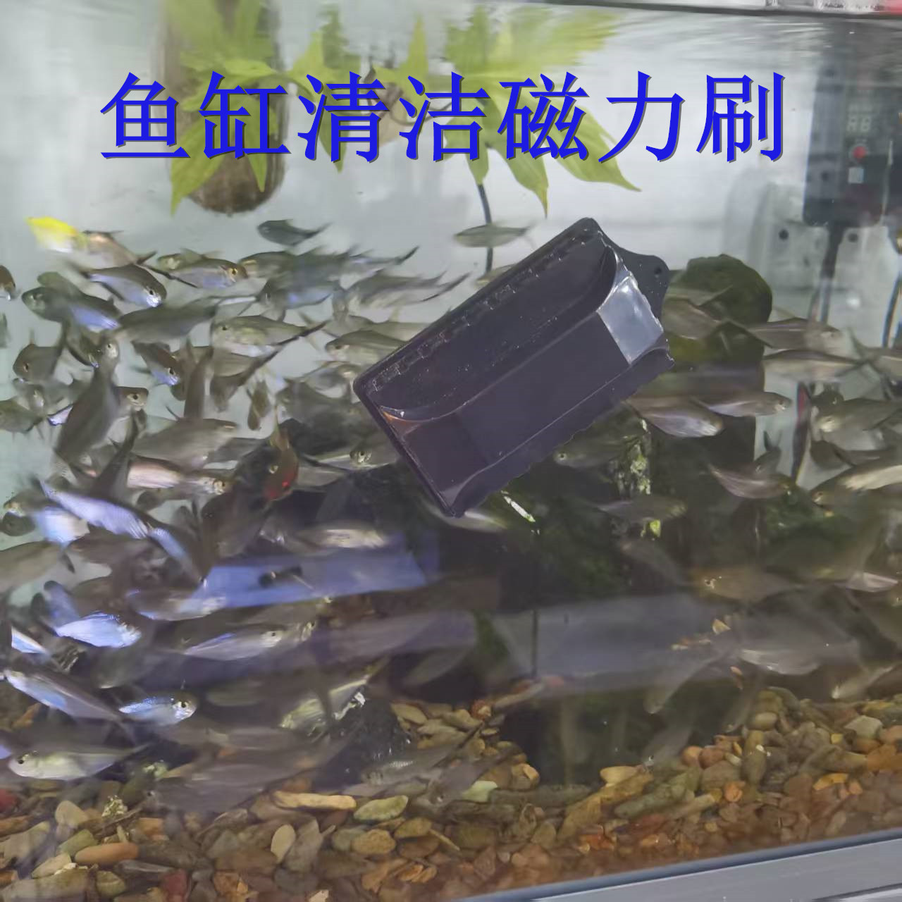 微信图片_20250527113059