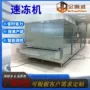 隧道式速冻自动海鲜速冻机