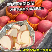 �����O����Ƭ�������eÓˮ��ɽ�|�خa�D��ͯ�I�B��ʳ�t��ʿ�O����