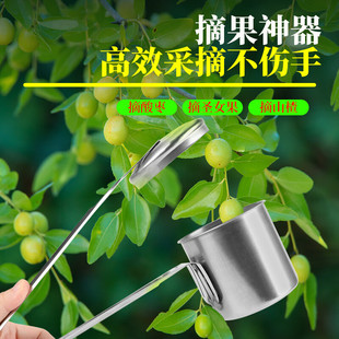 �ɹ���������ժ��ժ�����ù���Ұ����÷�����{ݮɽ�����P䓲�����