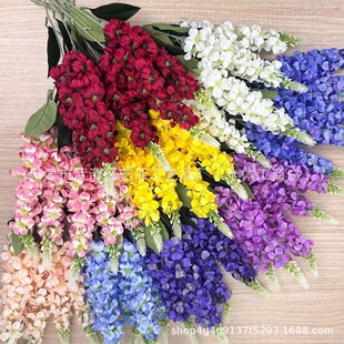 5���������w����L�������_�m���Q��c�ٻ��b[���߼���