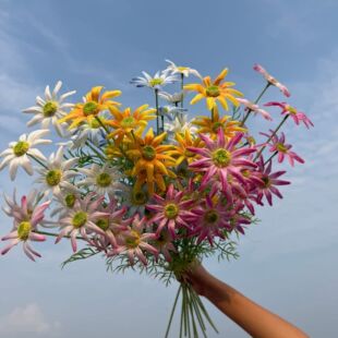 ����6�^̫ꖾ�Сꖻ�Ī�λ��@�L�ľջ�c�廨�bҾ��Ĕz�ٻ�