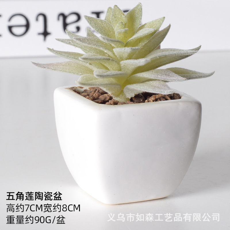 Simulación de cerámica bonsai de carne doméstica decoración de escritorio de oficina plantación verde maceta props de disparo maceta combinada artificial image 39
