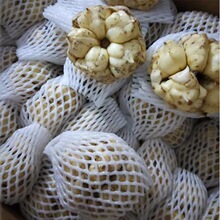 食用百合种 食用百合种品牌 图片 价格 食用百合种批发 阿里巴巴