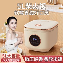 110v伏智能2L电饭煲小家电预约出口日本迷你电饭锅台湾加拿大美国