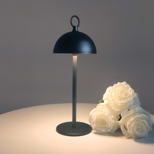 Cross-Border New ins Amazon simple atmosphere American LED warm light charging decorative creative bedside lamp