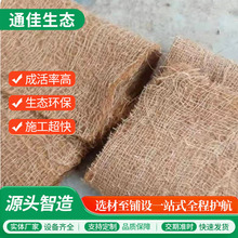 供应麻椰固土毯河道修复绿化麻椰毯可降解植生毯麻网椰丝毯