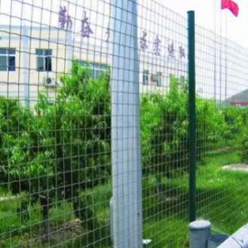 供应重庆贵州圈地养殖荷兰网 果园钢丝护栏网 包塑绿色荷兰网厂家