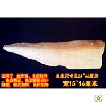 ?大马哈鱼皮 赫哲族鱼皮画原材料 DIY鱼皮 手工鱼皮革 服装设计