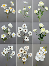 ¿cɫĶ^õ֧Yb·Ų廨