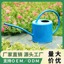 洒水壶铁皮 长嘴花洒壶 园林淋花壶 园艺工具跨境拿样金属浇水壶
