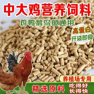 �S��ֱ�N80���u���ι�uС�u�_�����u���ʵ��u�a���w�����ֱ�l
