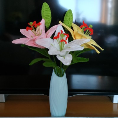 O1CN01P6OzY92Gs6yFcnkri_!!0-ra