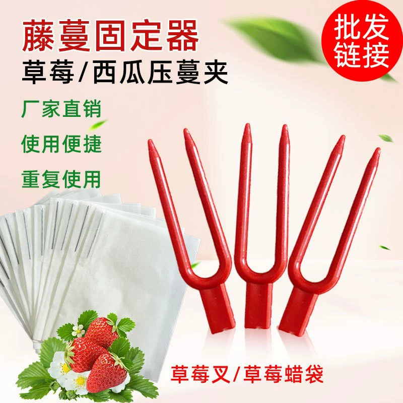 Вилка для посадки клубники оптом, садовая лоза пресс, пресс для клубники, вилка для крепления лозы, мешок для клубники