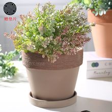 ���s���z�t�ջ����؟�͸�������͹����f����ֲ������մ�