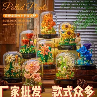 �羳����ͬ�������eľ����ֲ��ƴ�b��ߔ[���}�Q�¿�Y�ﵰ��eľ