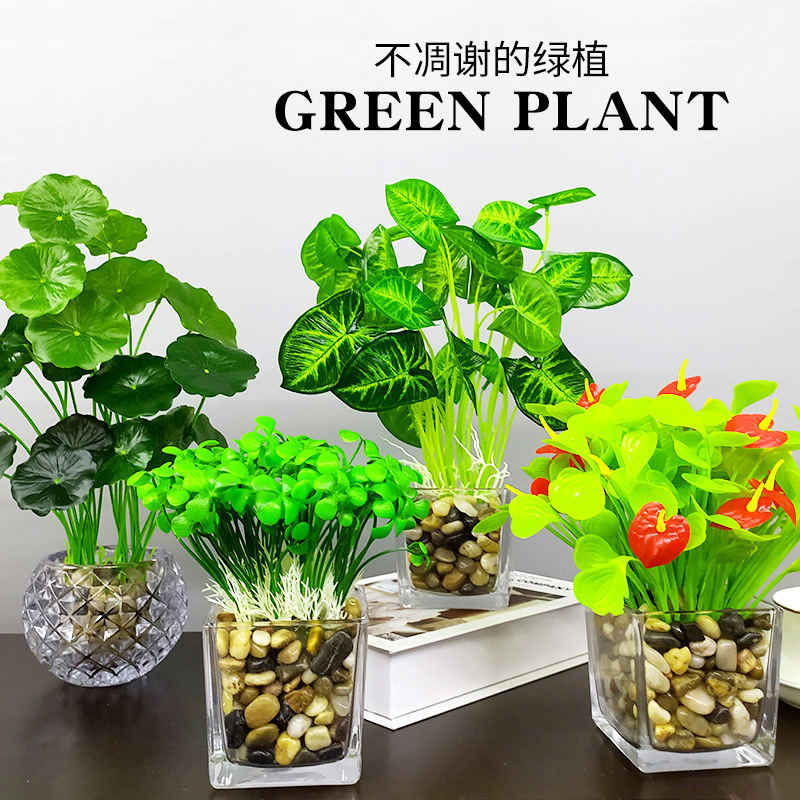 西藏穿搭