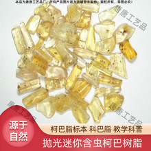 天然抛光迷你含虫柯巴树脂柯巴脂标本科巴脂虫体清晰仿琥珀半透明