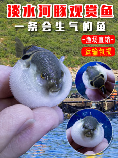 ����С�����^�p�~���w��ˮͧ������R���^�~�ɿ��������~�V�ص�ˮ