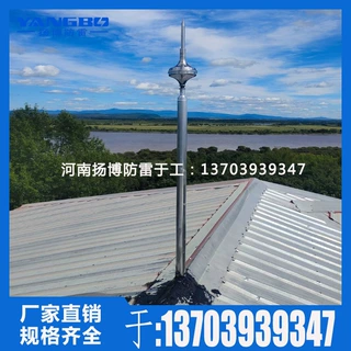 高层建筑 大桥提前放电避雷针 ESE6000进口 不锈钢提前放电接闪器