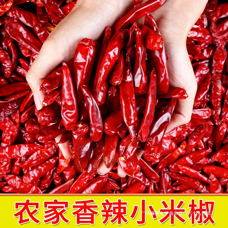 云南小米辣2024新干辣椒微辣特香500g非二荆条朝天椒油泼辣子批发