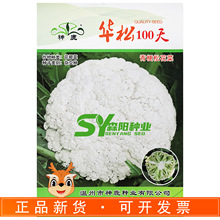 神鹿华松100天青梗松花菜种子花椰菜杂交种秋冬蔬菜白花菜中晚熟