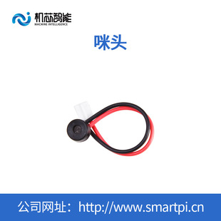 Electret 60